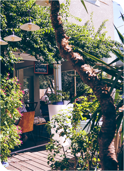 Le restaurant - Le Jardin des Frangins - Montpellier - Restaurant Terrasse Montpellier